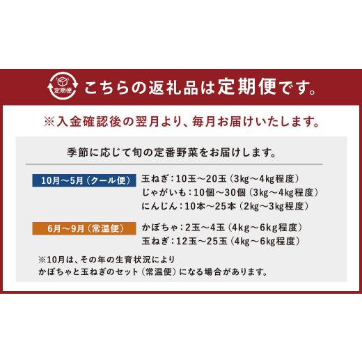 ふるさと納税 長崎県 時津町 定番野菜セット定期便 どっさり！約10kg×6回コース じゃがいも 玉ねぎ にんじん かぼちゃ