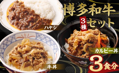 ハヤシ・牛丼・カルビー丼のセット