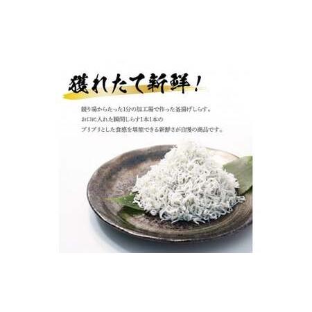 ふるさと納税 訳あり高知県産釜揚げしらす　50g×17パック（小分け） 高知県芸西村