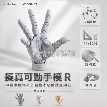 台灣出貨✨ 1/2比例右手模型 可動手指關節 手掌皺褶肌肉紋理 專用臺座固定 美術生寫生練習 繪畫素描觀察結構