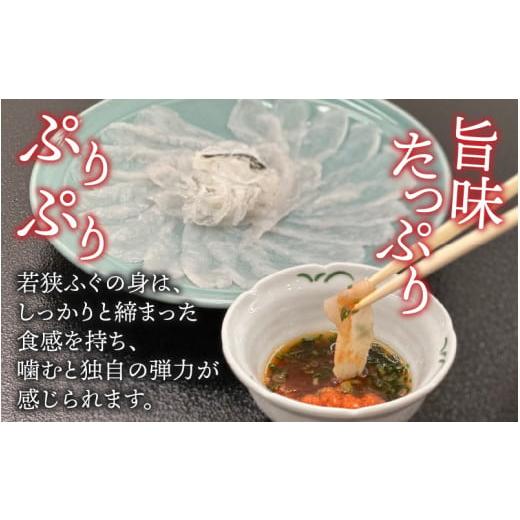 ふるさと納税 福井県 小浜市  若狭ふぐ てっさ と 鍋 の C セット 5〜6人前