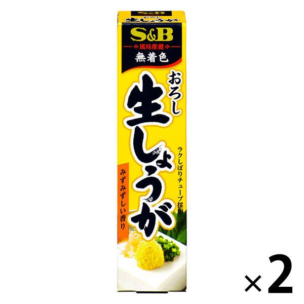 エスビー食品エスビー食品 SB 風味推薦 おろし生しょうが 無着色 40g 2本