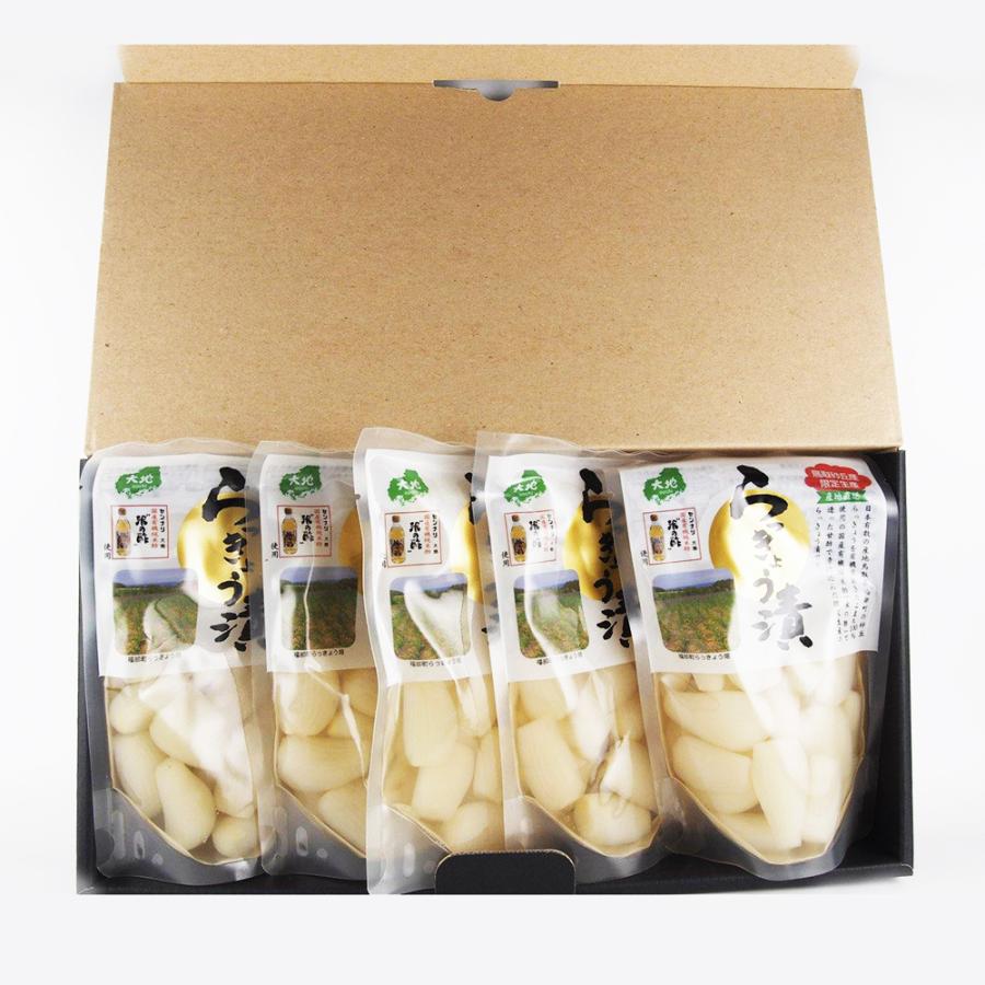 鳥取砂丘産 らっきょう漬 １３０ｇ ５袋セット ギフト用  送料無料 センナリ 米酢 鳥取県