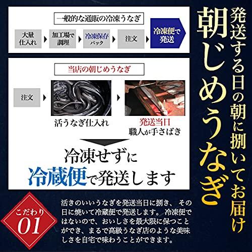 鰻 白焼き 国産 選べる 朝じめ うなぎ 白焼 ギフト 超特大 200〜250g × 2尾 未冷凍 お取り寄せグルメ 冷蔵お届け お中元 父の日 熨斗