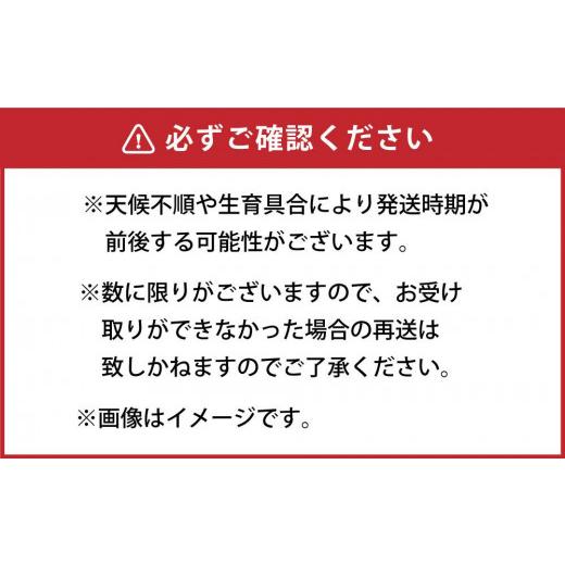 ふるさと納税 北海道 旭川市 朝採り グリーンアスパラ M〜2L 1.5kg (2024年5月下旬発送予定)