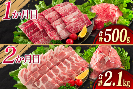 5か月 お楽しみ 定期便 牛肉 豚肉 月替わり 堪能 セット 総重量5.6kg 肉 牛 豚 国産_I25-23-A