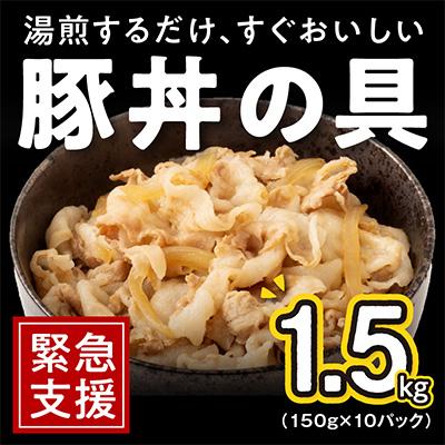 ふるさと納税 泉佐野市 豚丼の具 1.5kg(150g×10パック)湯煎 簡単調理 緊急支援 010B899