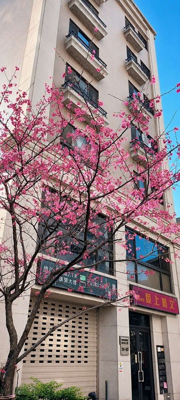 藝文中心捷運站最夯小豪宅｜桃園市桃園區新埔五街