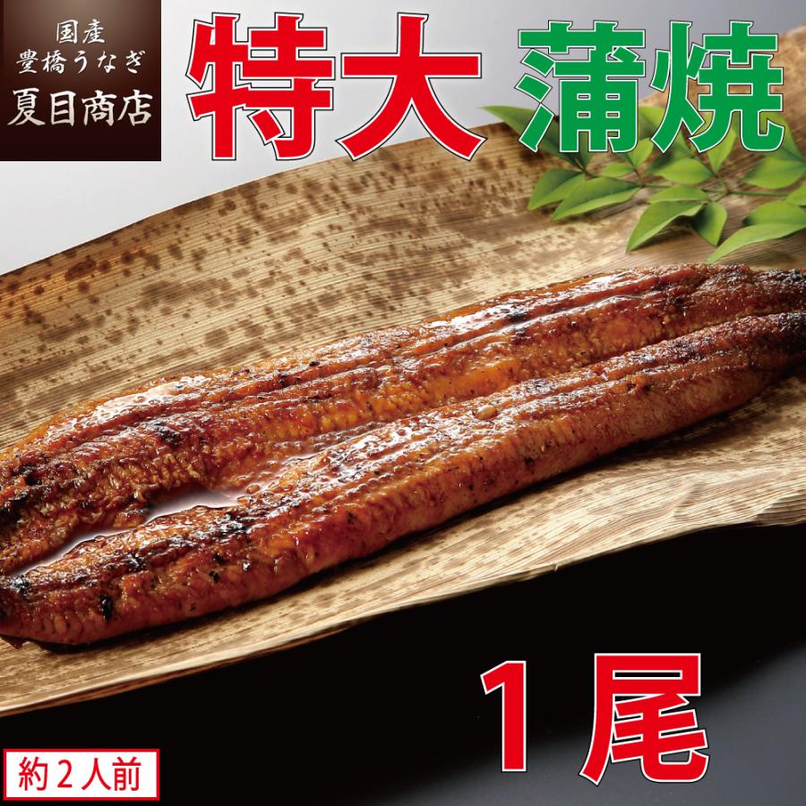 うなぎ 蒲焼き 国産 特大181-210g×1尾 （約1.5-2人前） 送料無料の品物と同梱可