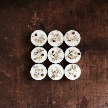 藥草燭盞 白鼠尾草