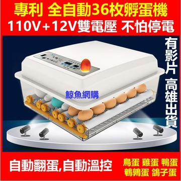 全自動孵蛋機 孵蛋器 雞蛋孵化器 高雄現貨🛑附發票保固一年110V+12V 鳥蛋 鴨蛋 鵝蛋 蘆丁雞蛋 鸚鵡蛋 鵪鶉蛋