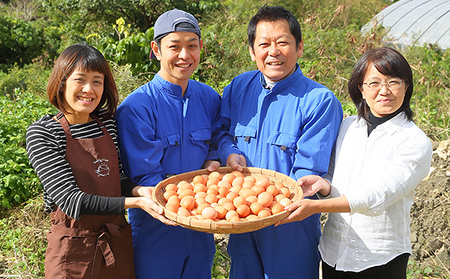 3ヵ月連続お届け　美ら卵養鶏場の卵　各月20個