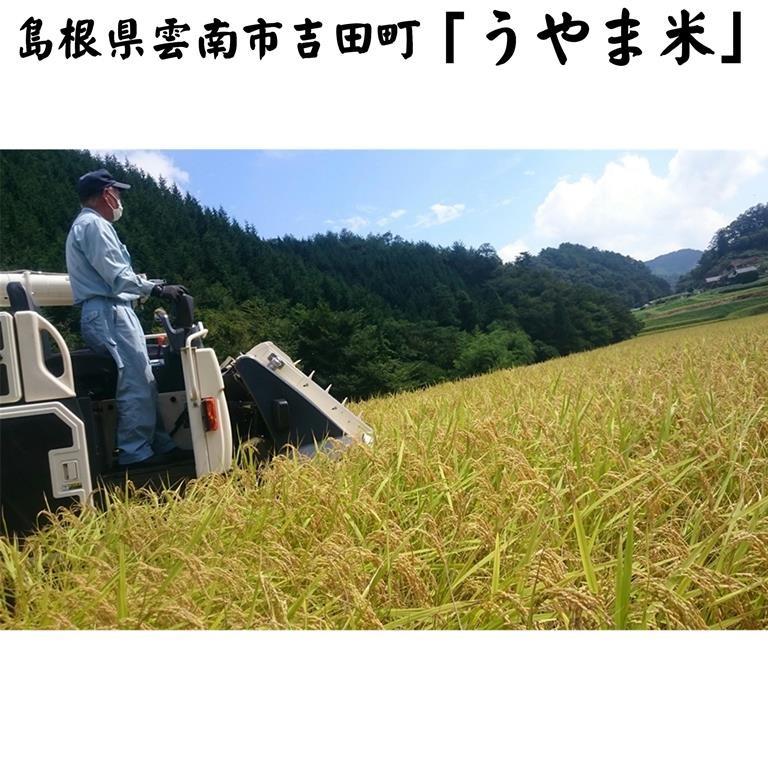 新米令和5年産 島根県吉田町『うやま米』コシヒカリ玄米30kg