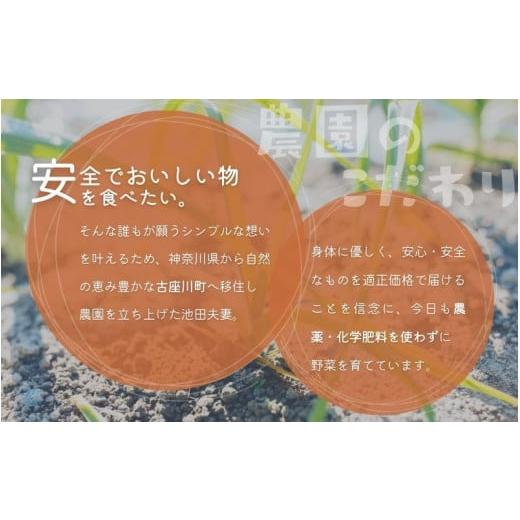 ふるさと納税 和歌山県 古座川町 ＼農薬不使用・化学肥料不使用／にんにく 1kg