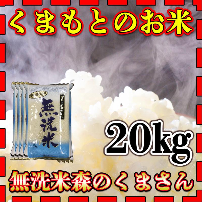 お米 米 20kg 白米 無洗米 熊本県産 森のくまさん あすつく 新米 令和5