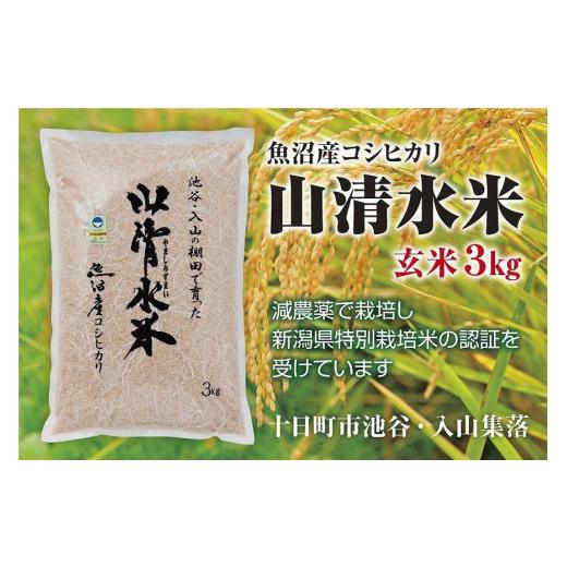 ふるさと納税 新潟県 十日町市 新潟県魚沼産コシヒカリ「山清水米」玄米３kg