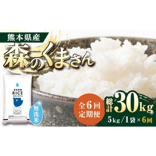 ふるさと納税 熊本県 山鹿市 森のくまさん 無洗米 5kg 定期便 5kg 無洗米 精米 森のくまさん 特産品 コメ …