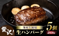 生ハンバーグ5個セット