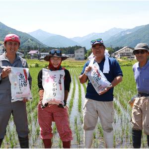 ふるさと納税 令和5年産 農家直送！越後湯沢発 玄米30kg さくらファームの 新潟県湯沢町