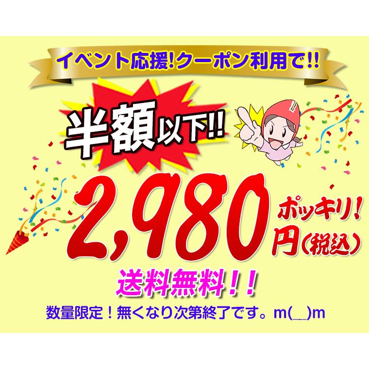 鮭 サーモン 岩手県久慈産 琥珀サーモン約600g