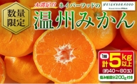 ≪数量限定≫大満足!!『ネイバーフッドの温州みかん(計5kg以上)』傷み補償分200g付き　フルーツ　果物　柑橘　ミカン　国産 BA77-23