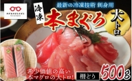 本マグロ大トロ 500g（柵どり） [C-11007]