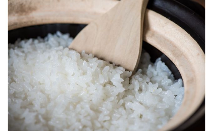 JAおおいがわ 金芽米 無洗米 5kg×4袋