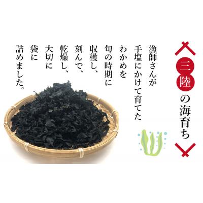 ふるさと納税 石巻市 三陸産 乾燥カットわかめ 100g×2袋