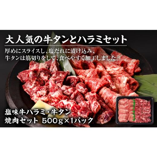 ふるさと納税 熊本県 八代市 焼肉セット5種盛り 計1.7kg タン ハラミ ホルモン プルコギ カルビ