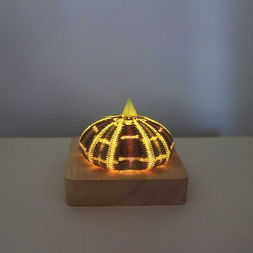 夏夜晚風 - 馬糞海膽殼氛圍燈 桌面療癒擺飾