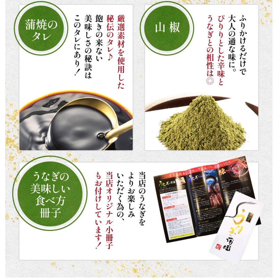 うなぎ 2023 プレゼント ギフト 国産 蒲焼き 3尾 鰻 70代 80代 60代 父の日 お取り寄せ 美味しい