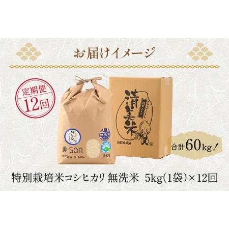 ふるさと納税 《定期便》5kg×12回 60kg 特別栽培米 コシヒカリ 無洗米 低農薬 《食味値85点以上！こだわり極上無洗米》   .. 福井県あわら市