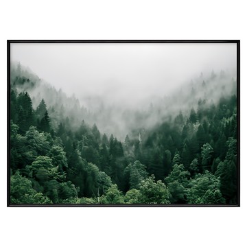 隨旅森林  森林風景裝飾畫  40 x 30cm  黑色