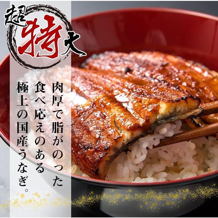 敬老の日 ウナギ うなぎ 鰻蒲焼き 国産 うなぎ蒲焼 特大 200ｇ 2尾 ギフト 丑の日 父の日 うな重 うな丼 ひつまぶし