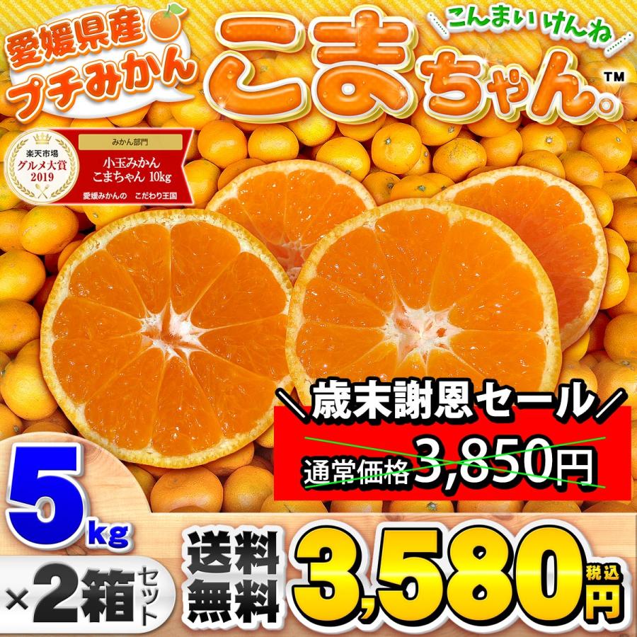 愛媛県産 小玉 みかん こまちゃん 5kg×2箱セット 家庭用 自宅用 訳あり 愛媛みかん 送料無料 プチ 小粒 箱買い 蜜柑 温州 早生 南柑 20号 10キロ