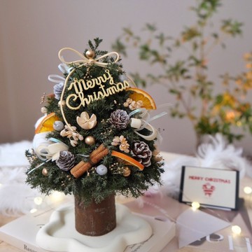 簡約雪松聖誕樹樹 永生聖誕樹 聖誕禮盒 聖誕佈置 聖誕節禮物