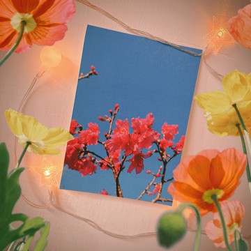 have a nice day 外星人遊台灣明信片/酷卡/木柵櫻花