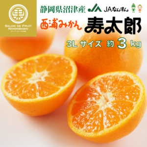 [予約 2月1日から3月20日のご納品]   寿太郎 みかん 約3kg 3Lサイズ 静岡県産 簡易梱包 貯蔵 熟成じゅたろう 青島みかん 西浦ミカン 寿太