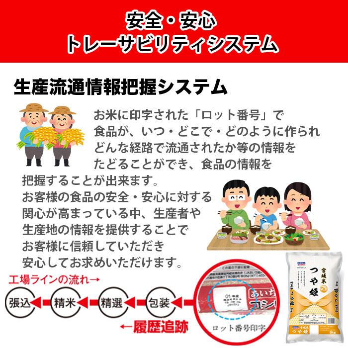 つや姫 5kg 5kg×1 令和4年産 宮城県産 米 お米 白米 おこめ 精米 単一原料米 ブランド米 5キロ   国内産 国産