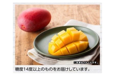 宮崎県産マンゴー「おひさまハニーマンゴー」２Ｌ（大）×２玉