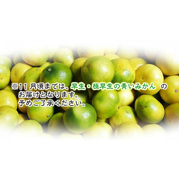 みかん 有田みかん 訳あり 10kg 通常販売開始　和歌山県産 送料無料(北海道、沖縄県、東北地方除く) ミカン みかん 蜜柑 温州みかん ご自宅用 家庭用 産地直送