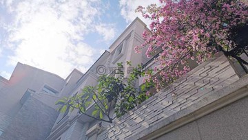 永康南附中面公園歐風大面寬孝親雙車墅｜台南市永康區永興路