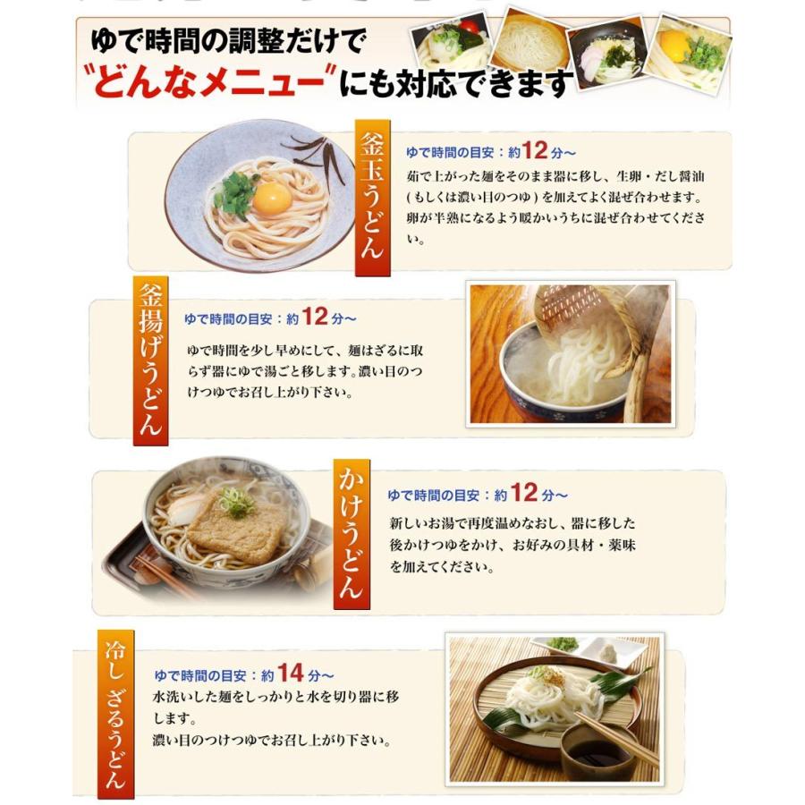 鎌田醤油特製ダシ醤油6袋付き!!讃岐うどん6食分600g（300g×2袋）　直送