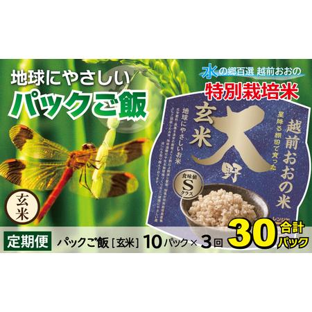 ふるさと納税 地球にやさしいパックご飯 10食入り× 3回　計30食　減農薬・減化学肥料 「特別栽培米」−地球にやさ.. 福井県大野市