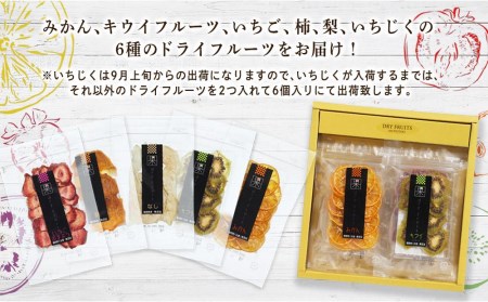 添加物不使用！ドライフルーツセット（１０ｇ×６種類）　094-001