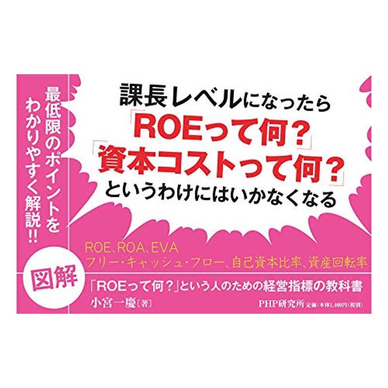 図解 ROEって何 という人のための経営指標の教科書