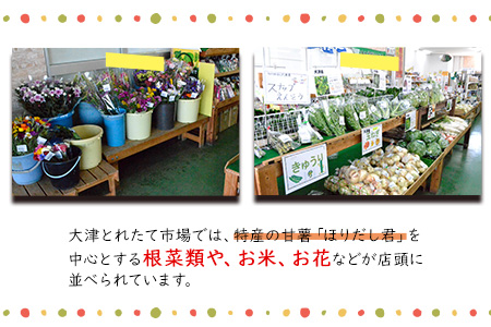 熊本県大津町産 季節の野菜セット(6～8種類)《60日以内に順次出荷(土日祝除く)》野菜 冷蔵 JA菊池 大津中央支所 とれたて市場---so_cozuyasai_60d_20_13500_8i---