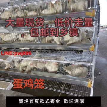 {台灣公司 可開發票}包郵加粗蛋雞籠階梯式雙邊6層雞籠養殖場專用4門雞籠家用籠處理