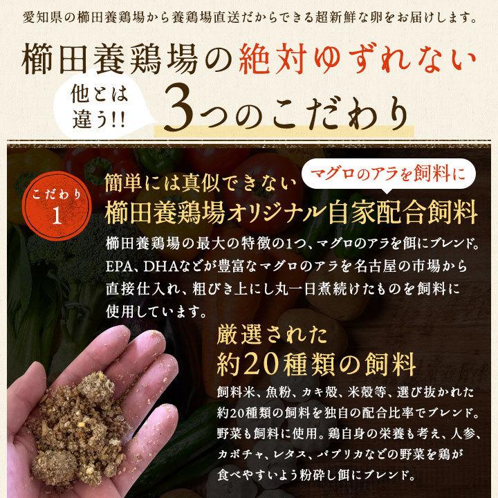 二種食べ比べセット商品 高級名古屋コーチンの卵（20個入り）＋くしたま赤卵（20個入り） 送料無料 合計40個入り(内破卵保障4個含む) 食品 卵 鶏卵 玉子 たまご