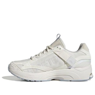 (WMNS) adidas Spiritain 2000 GTX 'Beige Baby Blue'